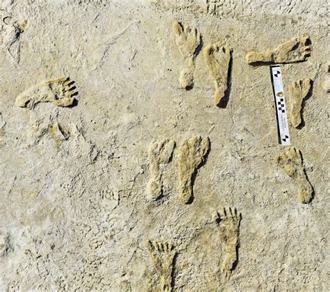 Bay Area study helps confirm age of ghostly human footprints
